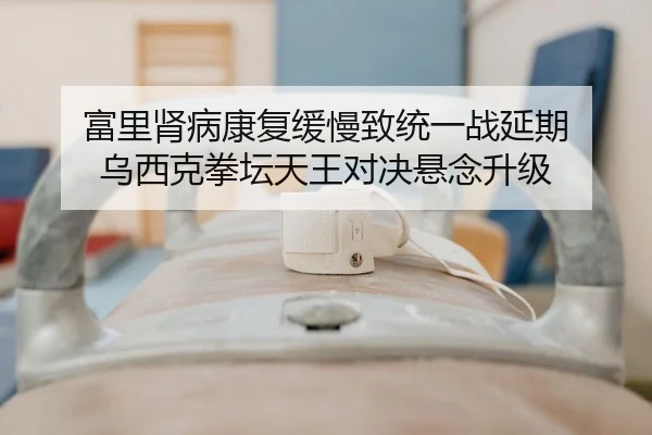 富里肾病康复缓慢致统一战延期 乌西克拳坛天王对决悬念升级